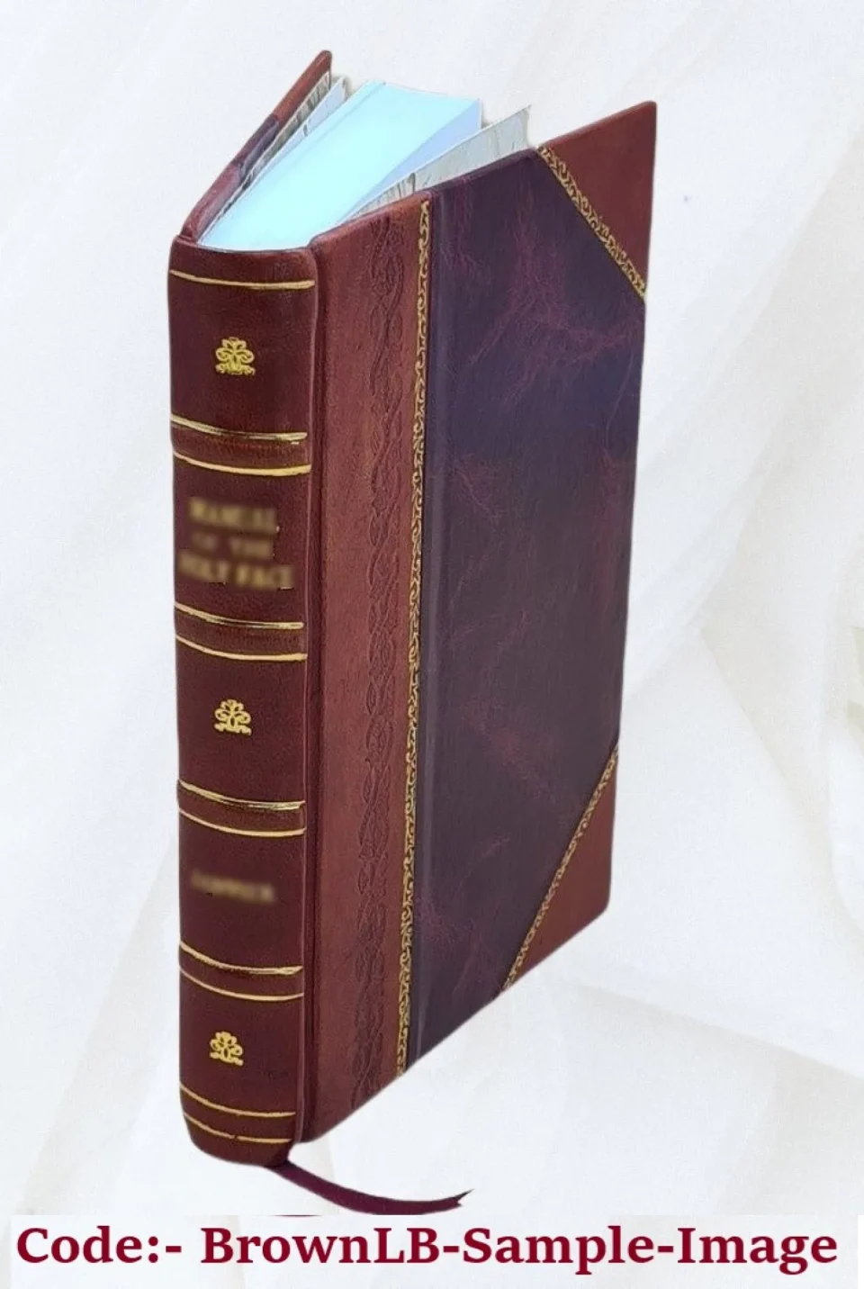 Select Lacrosse. 1869 [Leather Bound]